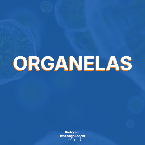 Organelas